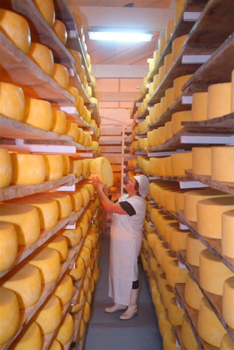 sao jorge cheese factory